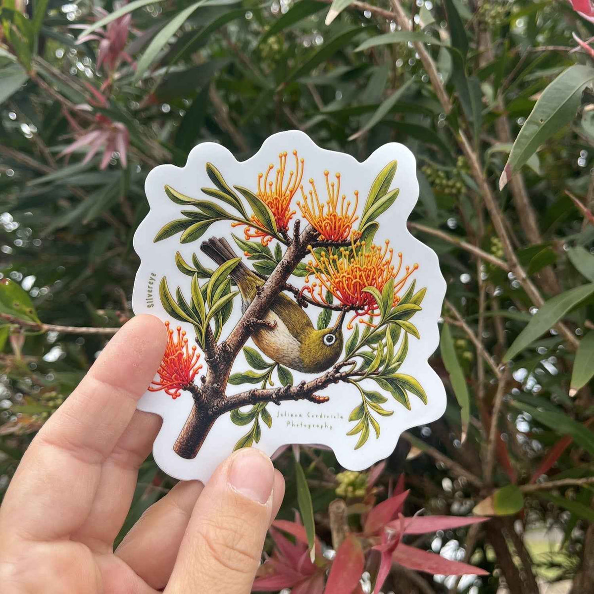 Silvereye Sticker