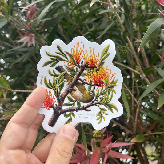 Silvereye Sticker