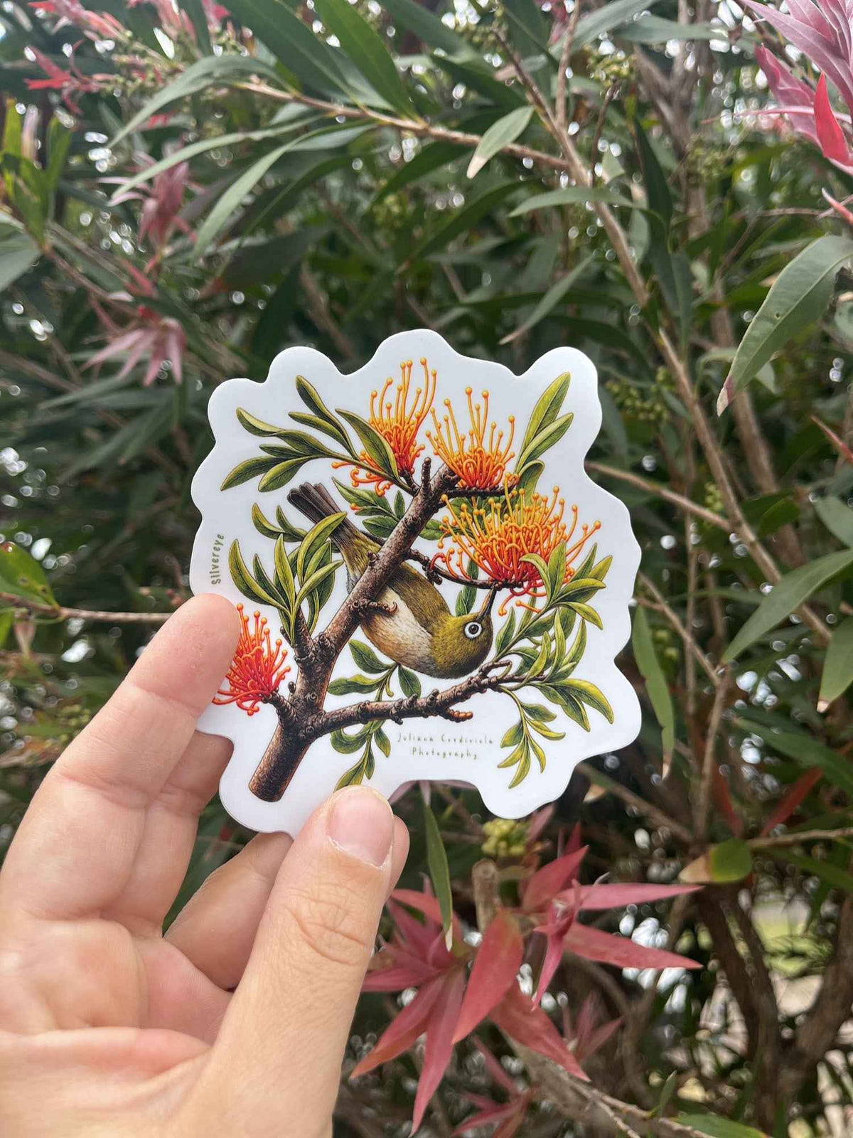 Australian Wildlife Sticker Pack (4 Stickers)