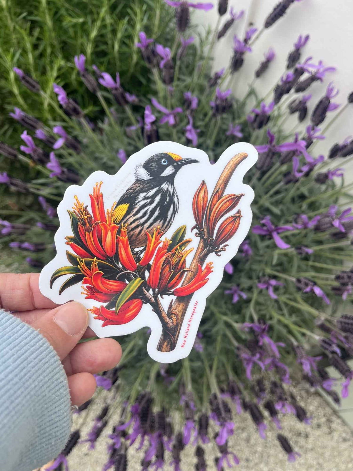 Australian Wildlife Sticker Pack (4 Stickers)